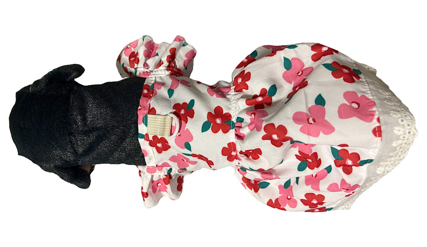 Petal Pop Dress