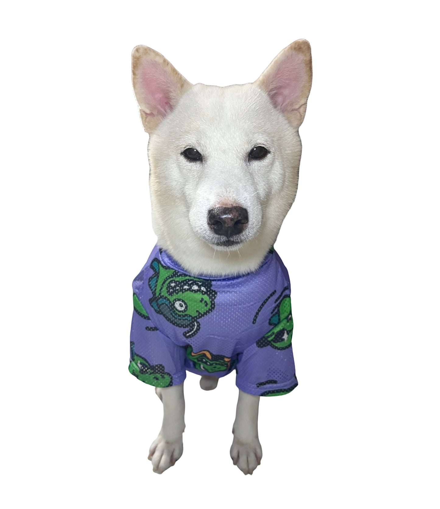[4BIGFURBABY] Summer Crocodile Tee