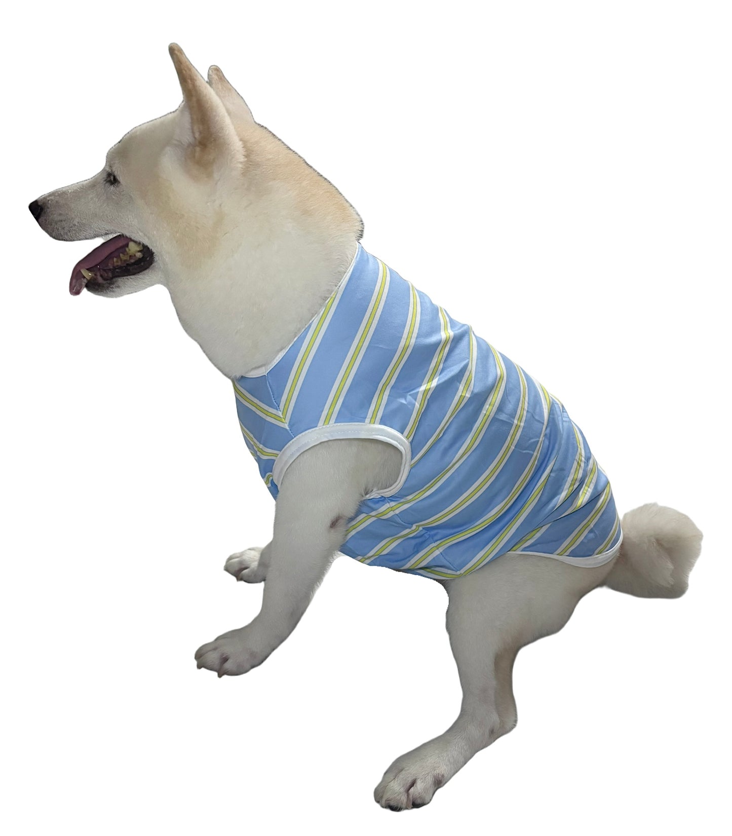 [4BIGFURBABY] Stripe Vacation Tank