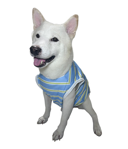 [4BIGFURBABY] Stripe Vacation Tank