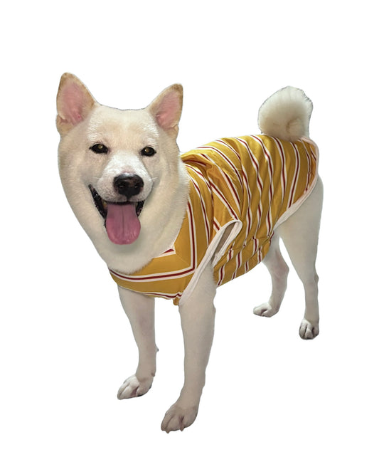 [4BIGFURBABY] Stripe Vacation Tank