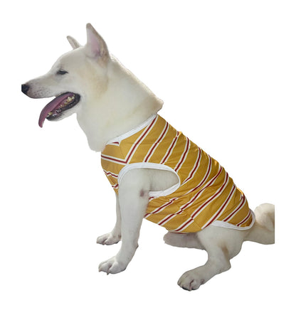 [4BIGFURBABY] Stripe Vacation Tank
