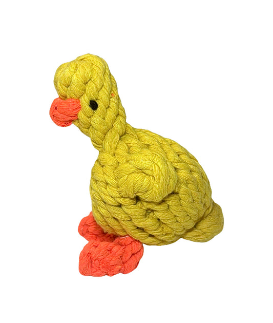 Chick Chew Toy