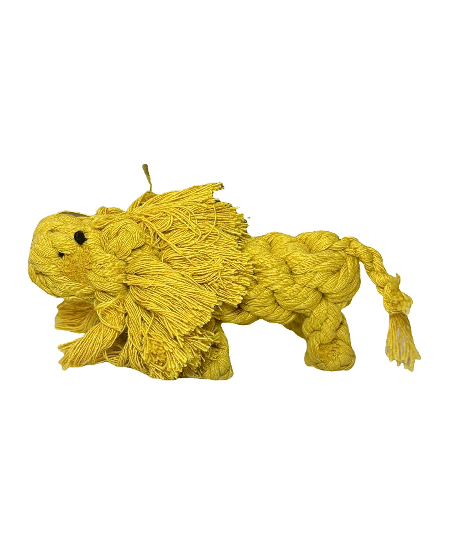Lion Chew Toy