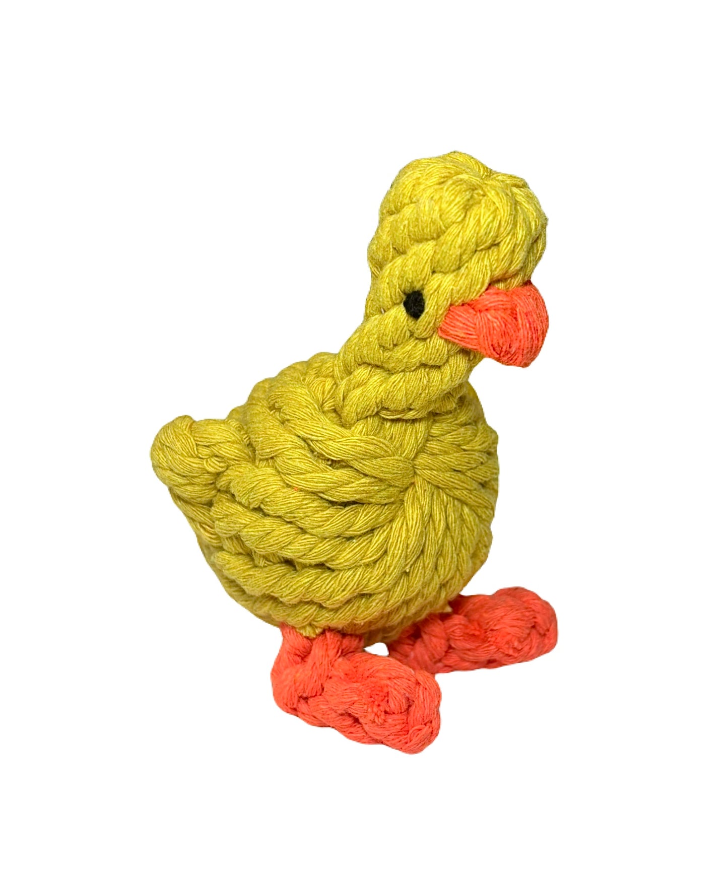Chick Chew Toy