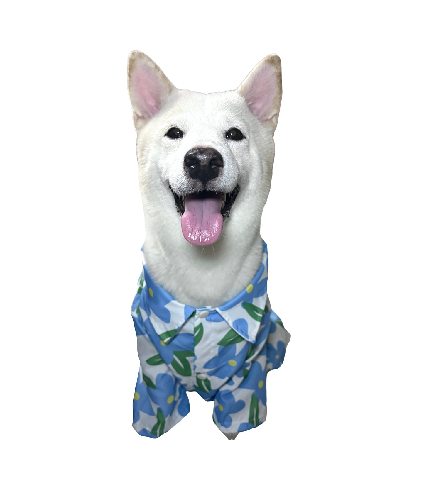 [4BIGFURBABY] Sunday Petals Shirt