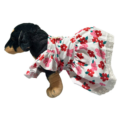 Petal Pop Dress